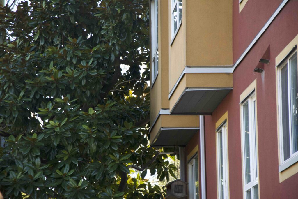 Colourful exterior
