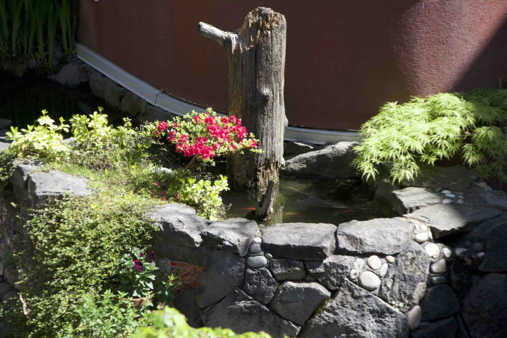 Courtyard pond